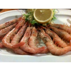 langostino plancha
