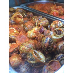 caracoles con tomate