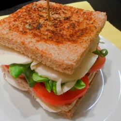 Sandwich vegetal
